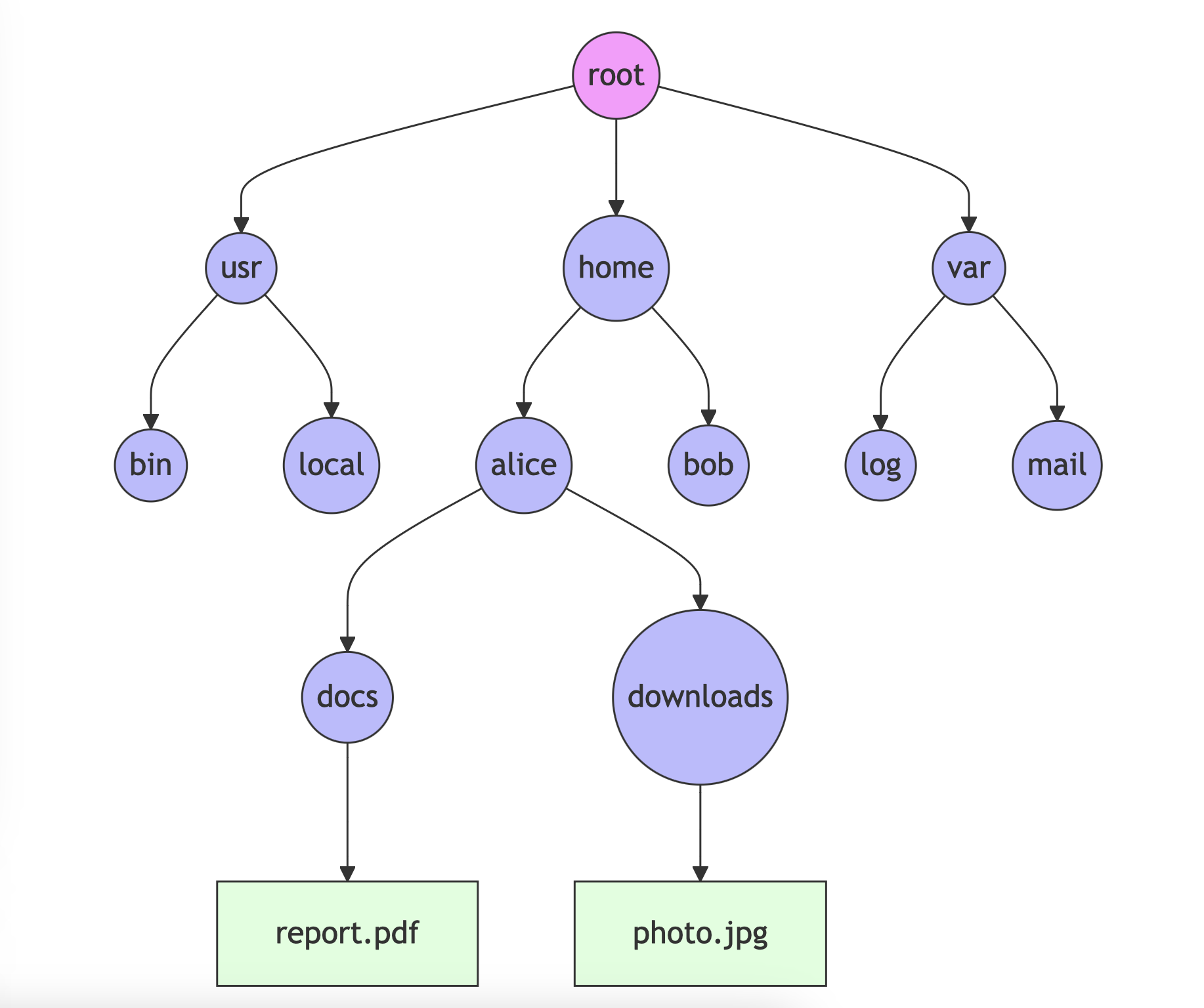 Screenshot 2024-10-22 at 7.56.32 pm.png