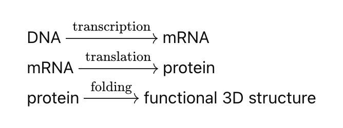 Central Dogma diagram