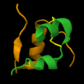 Insulin in its 3D folded form